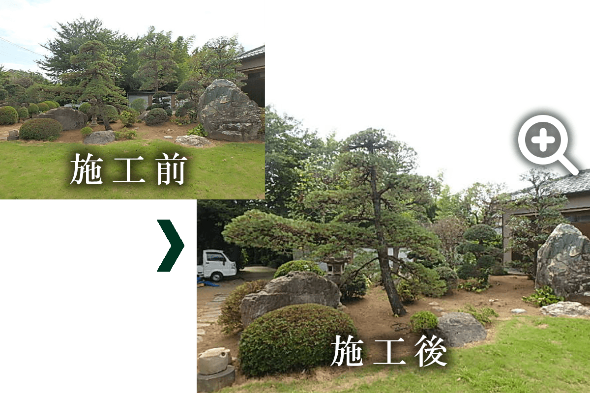 樹木の剪定の写真です